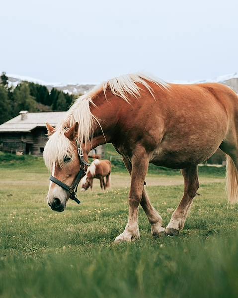 One Country Italy – Lake Como – Lake Iseo – Lake Garda – The Dolomites – Venice