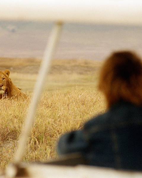 One Country Kenya – Tanzania – Nairobi – The Maasai Mara – Serengeti – Zanzibar