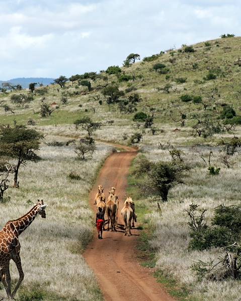 One Country Kenya - Samburu - Laikipia - Masai Mara