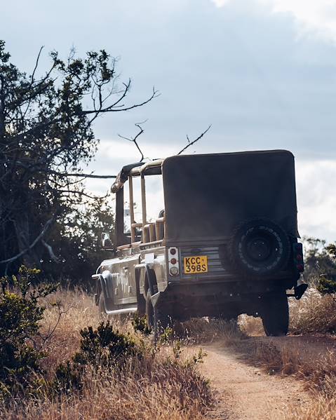 Itinerary Nairobi - The Masai Mara - Laikipia