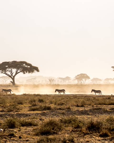 One Country Kenya – Laikipia – The Maasai Mara – The Kenyan Coast