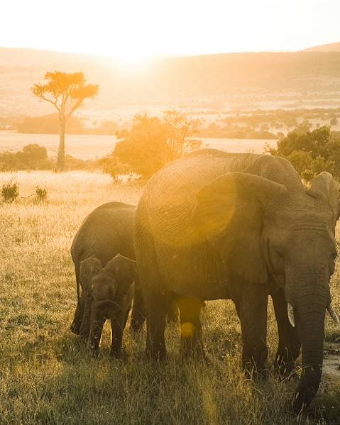 One Country Kenya –  Samburu –  Laikipia – The Maasai Mara