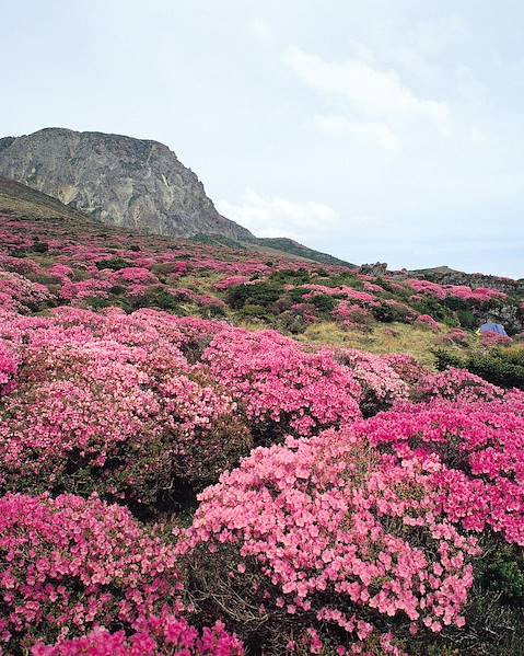 Itinerary Seoul - Busan - Jeju