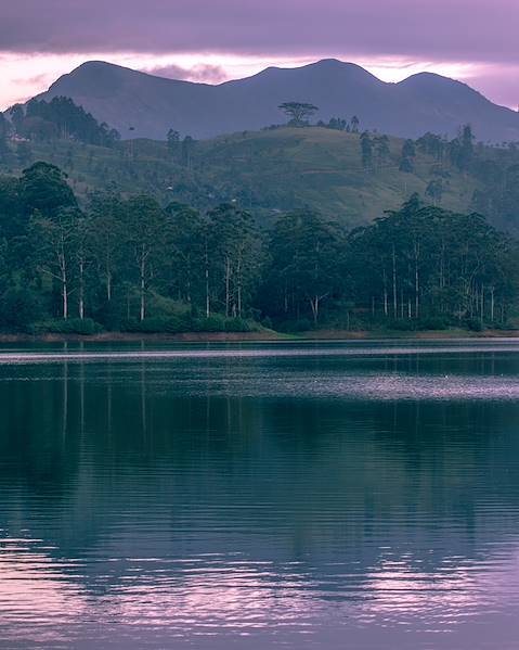 One Country Sri Lanka - Negombo - Hatton - Gal Oya National Park - Yala - Weligama