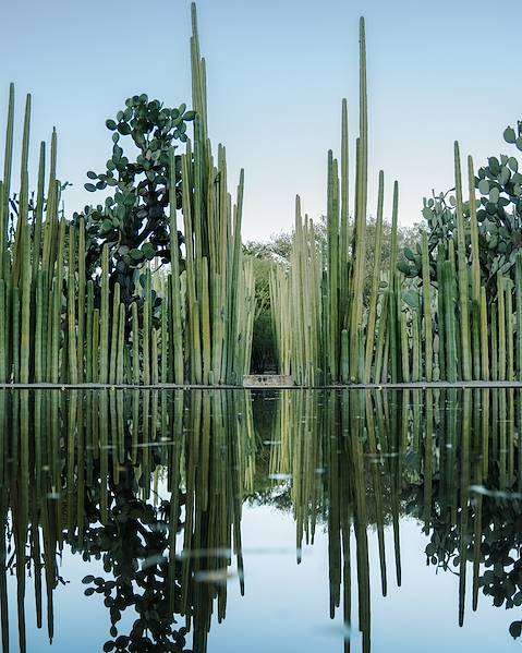 One Country Mexico – Puerto Morelos – Valladolid – Tulum – Bacalar – Mexico City – Puebla – Oaxaca – Puerto Escondido