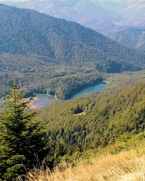 One Country Montenegro - Kolasin - Zabljak - Kotor - Buljarica