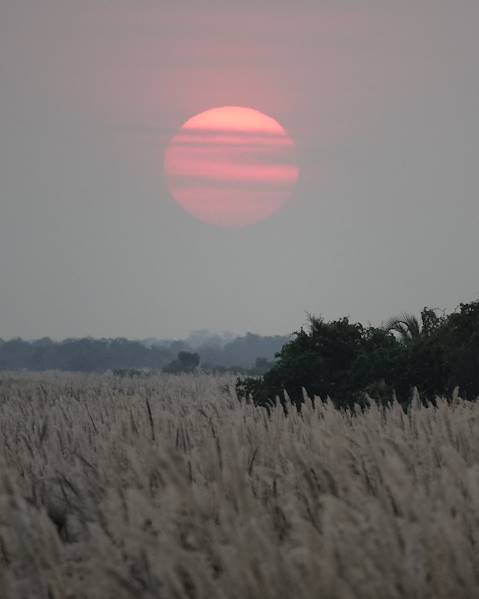 Itinerary Windhoek - Okonjima - Etosha - Rundu - Divundu - Bwabwata - Victoria Falls