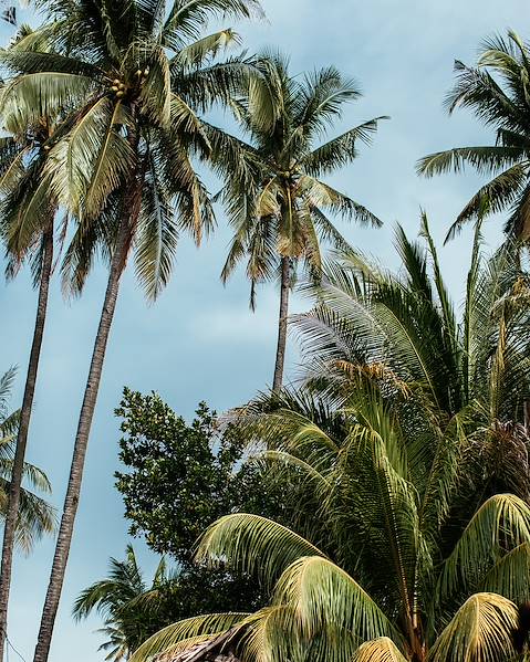 Itinerary Philippines - Manila - Palawan