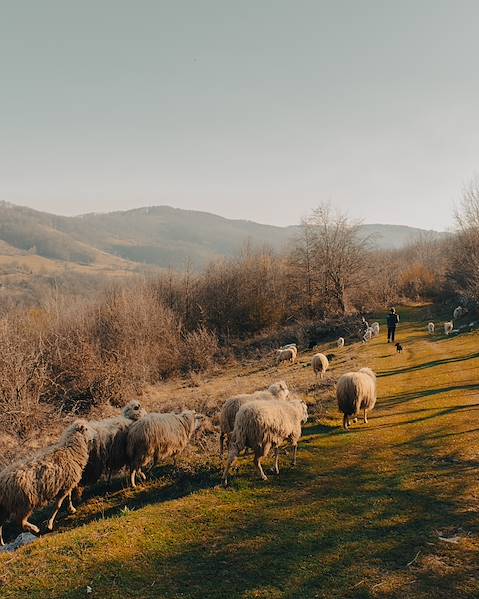 One Country Romania – Bucharest – Transylvania – Snagov