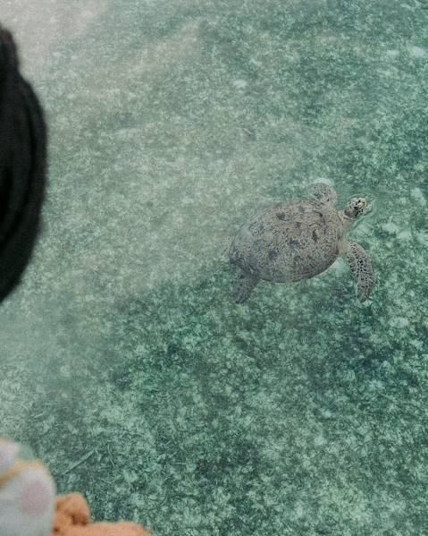 One Country Seychelles – Mahe – La Digue – Praslin