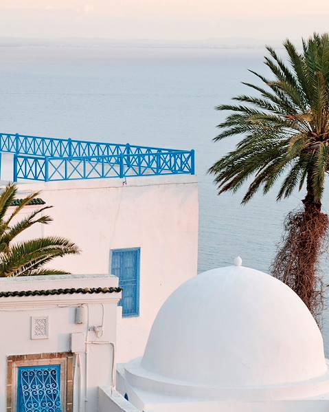 One Country Tunisia - Tunis - Sidi Bou Said