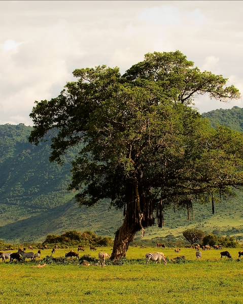 Itinerary Tanzania - Zanzibar