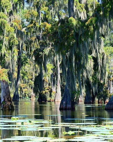 One Country USA – New Orleans - Lockport - Breaux Bridge - Darrow