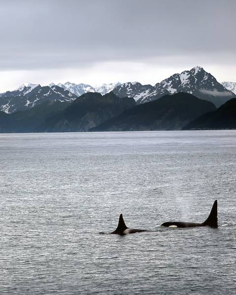 One Country United States - Alaska