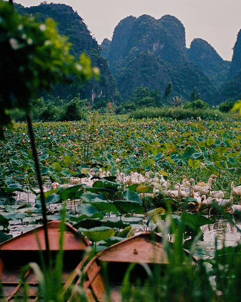 One Country Vietnam - Hanoi - Ha Giang - Pu Luong - Tam Coc