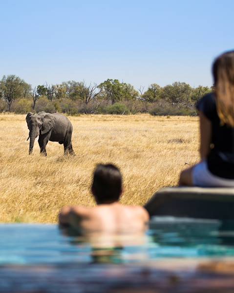 One Country Afrique du Sud - Johannesburg - Cape Town - Botswana - Okavango