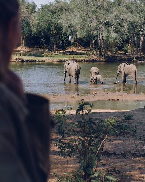 One Country Zambia – Livingstone – Lower Zambezi – South Luangwa