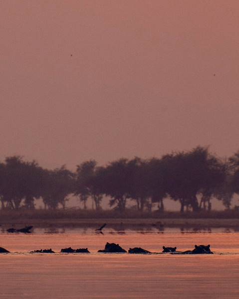 One Country Zambia – South Luangwa National Park